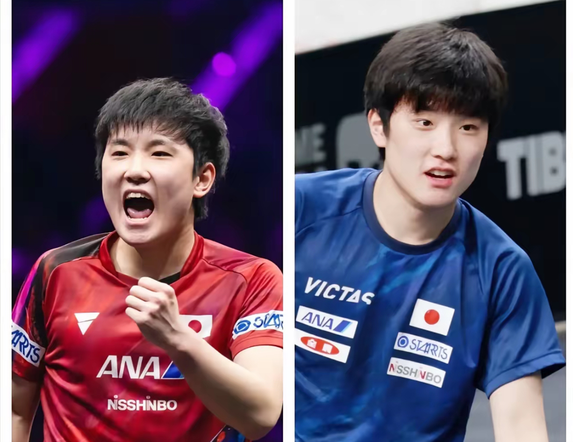 英格兰队逆转奥地利队，张本智和状态火热